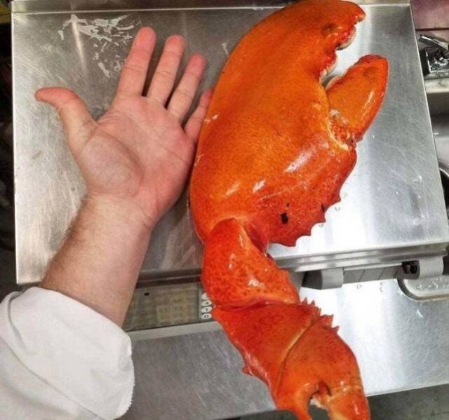 Interesting Finds From Around The World (23 pics)