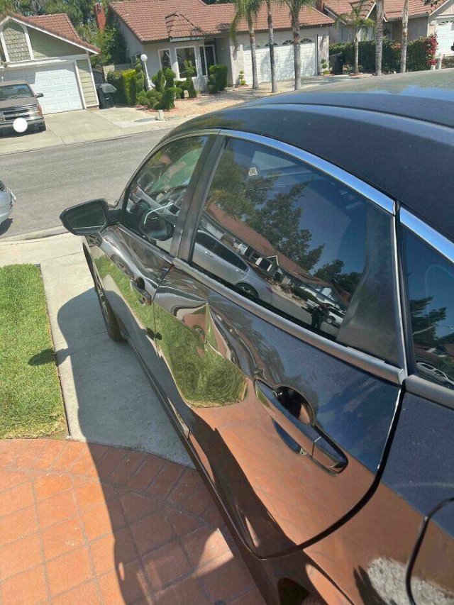 Annoying Neighbors (21 pics)