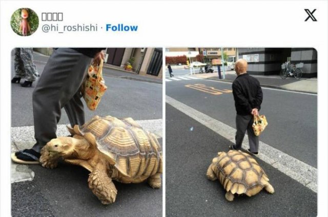 Fascinating Photos From Japan (22 pics)