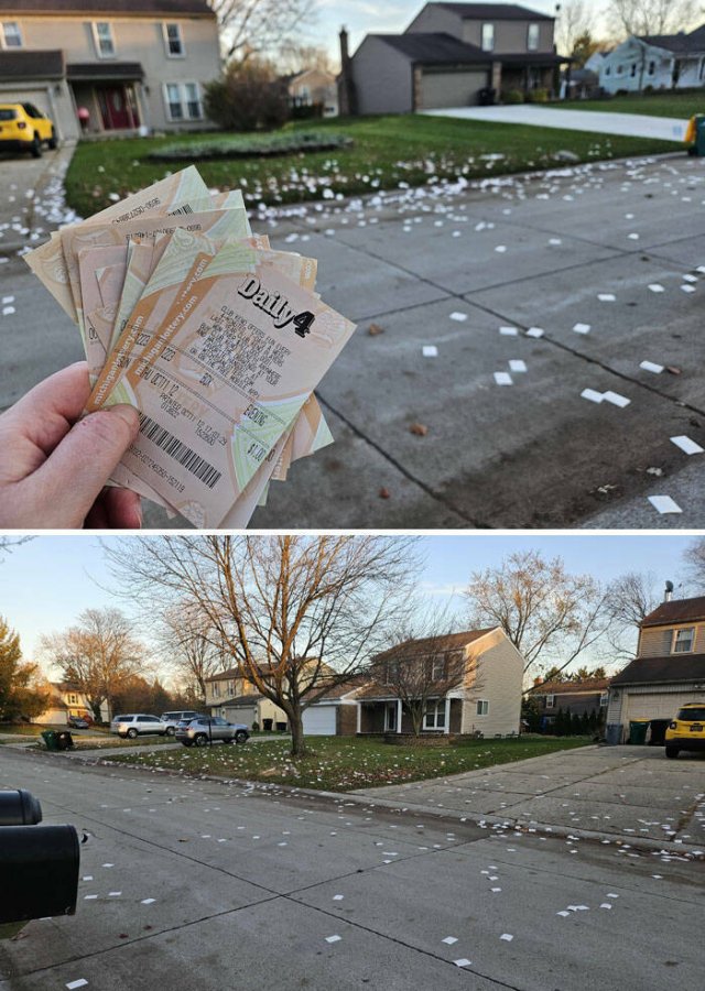 Annoying Neighbors (21 pics)