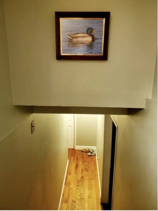 Unsuccessful But Funny Moments (18 pics)