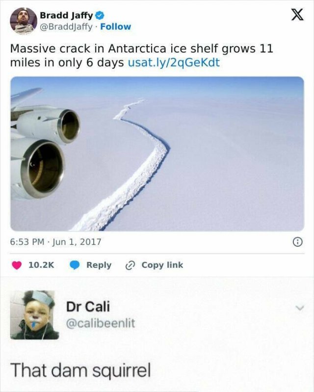 Funny Memes (20 pics)