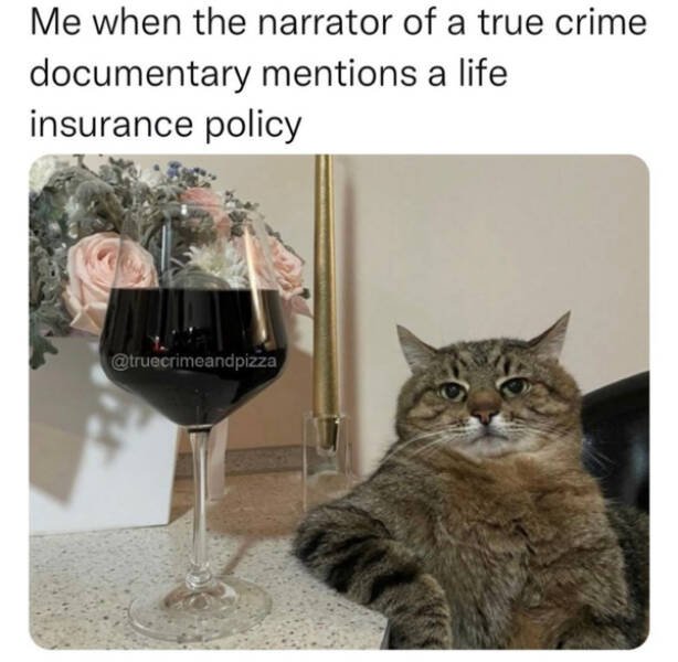 Memes About True Crime Podcasts (16 pics)