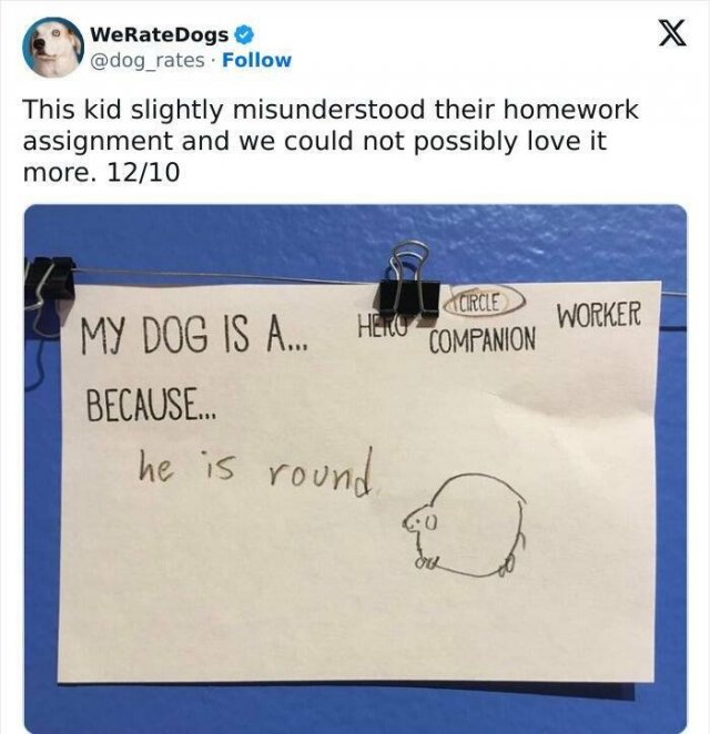 Funny Misunderstandings (25 pics)