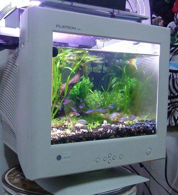 Interesting Things And Designs (39 pics)