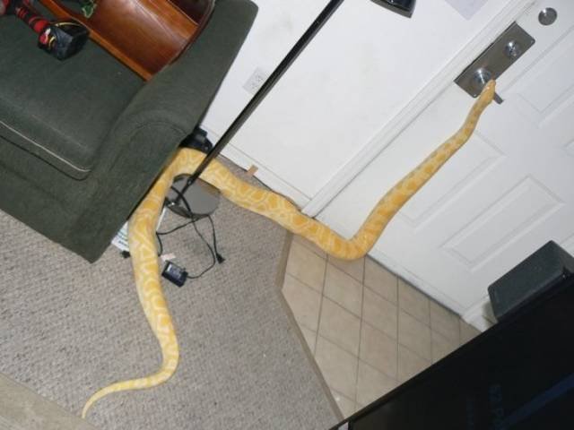 Strange Finds And Situations (25 pics)
