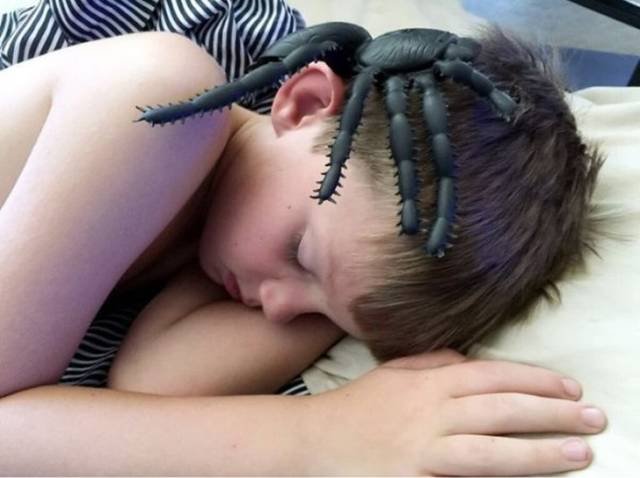 Strange Finds And Situations (25 pics)