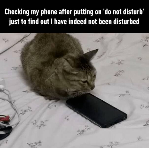 Memes For People Who Don't Like Being Bothered (23 pics)