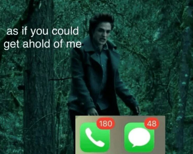 Memes For People Who Don't Like Being Bothered (23 pics)