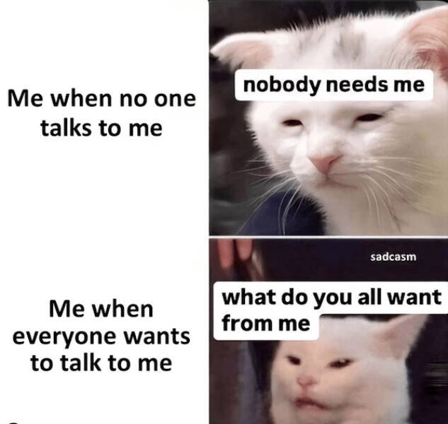 Memes For People Who Don't Like Being Bothered (23 pics)