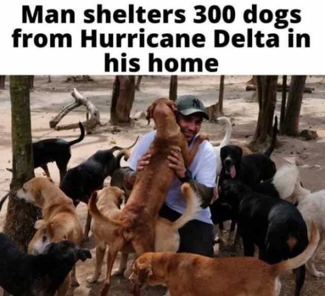 Positive Posts For A Good Mood (21 pics)