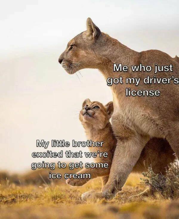 Positive Posts For A Good Mood (21 pics)