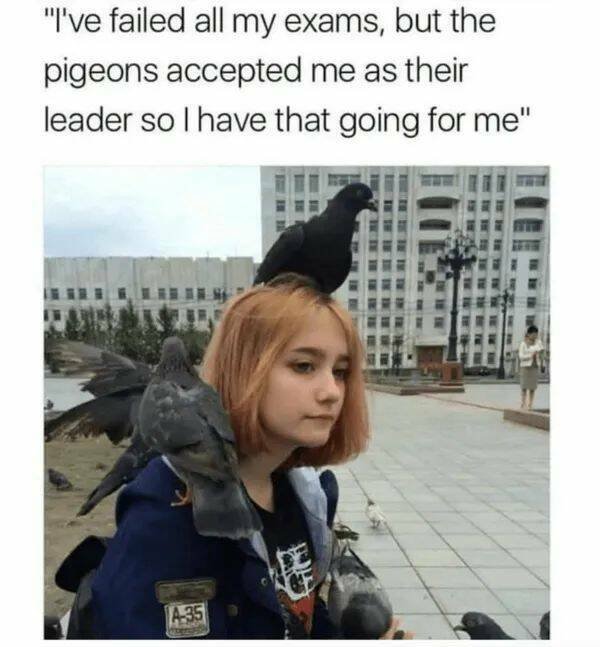 Positive Posts For A Good Mood (21 pics)
