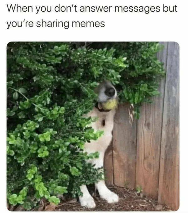 Positive Posts For A Good Mood (21 pics)
