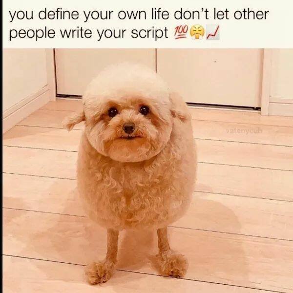 Positive Posts For A Good Mood (21 pics)