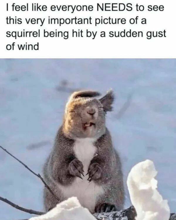 Positive Posts For A Good Mood (21 pics)