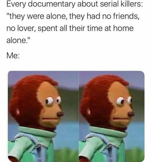 Memes For People Who Love Loneliness (28 pics)