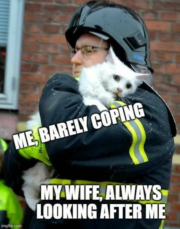 Positive Posts For A Good Mood (21 pics)