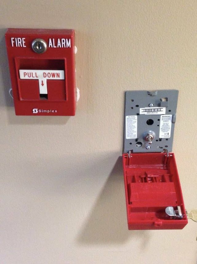 Fascinating Things (24 pics)