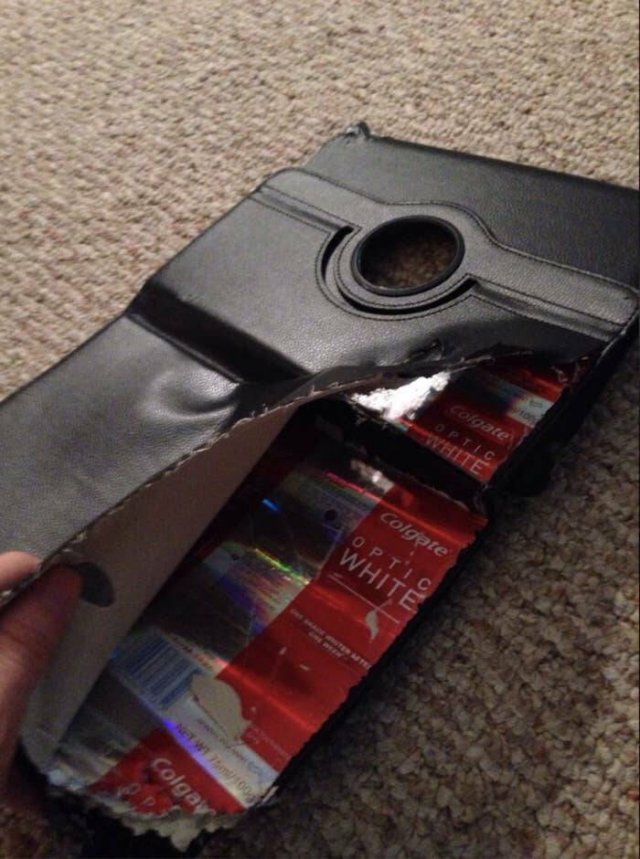 Fascinating Things (24 pics)