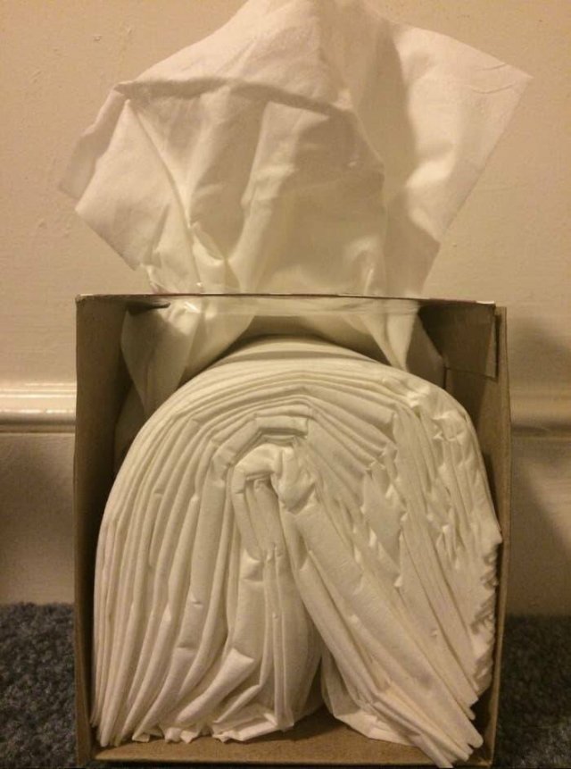 Fascinating Things (24 pics)