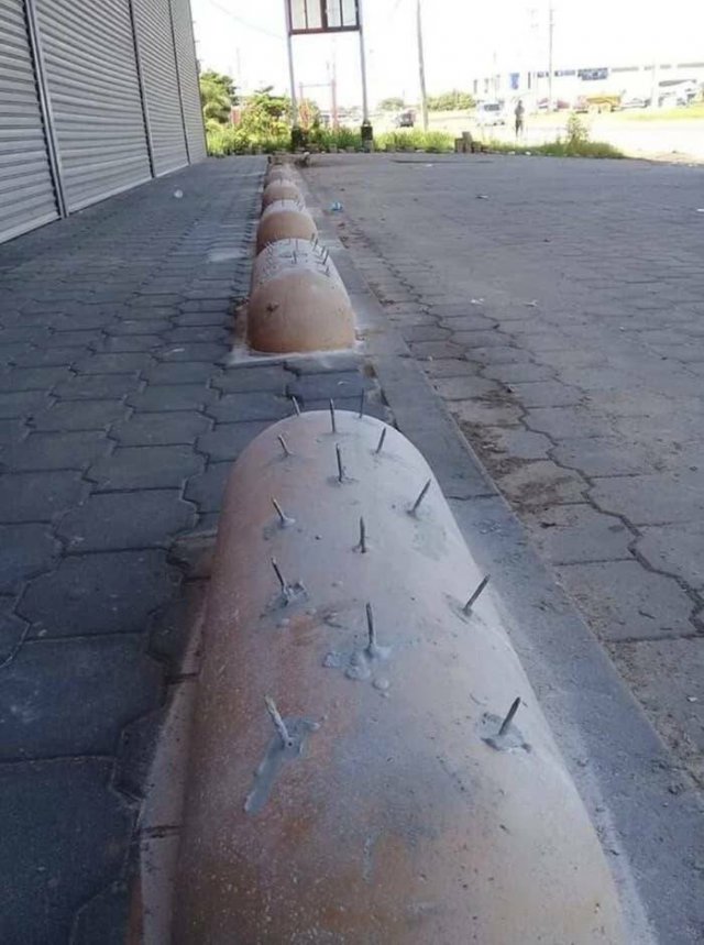 Weird Designs (24 pics)
