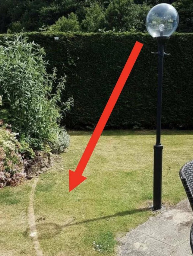 Weird Designs (24 pics)