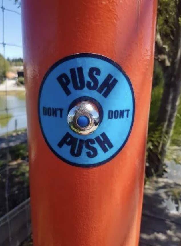 Weird Designs (24 pics)