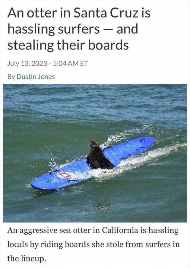 Odd And Funny Headlines (23 pics)