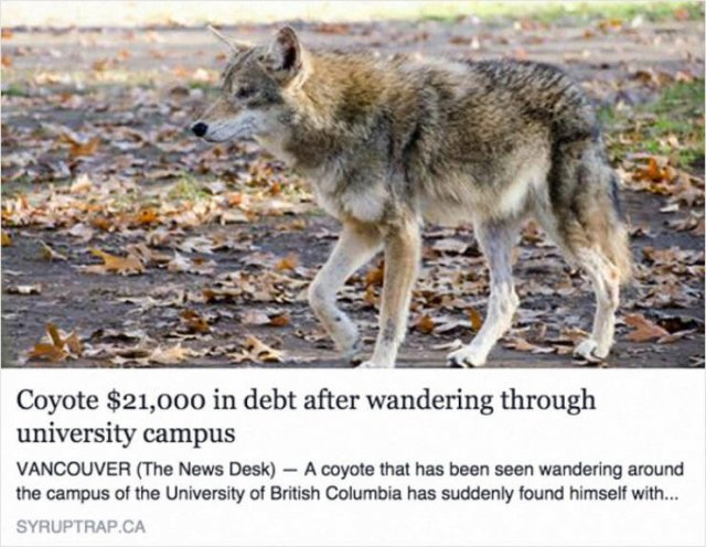 Odd And Funny Headlines (23 pics)