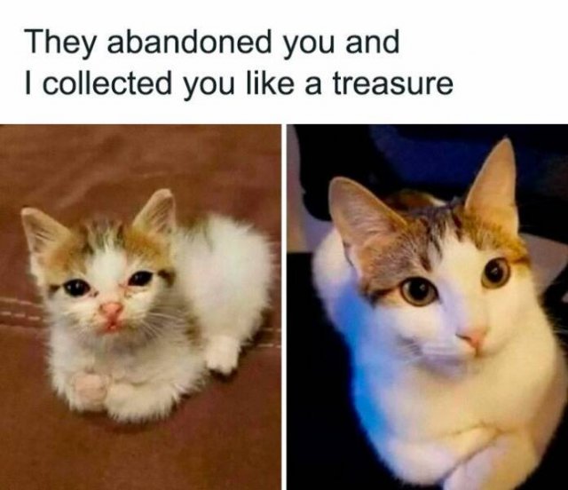 Life Is Beautiful (23 pics)