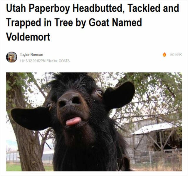 Odd And Funny Headlines (23 pics)