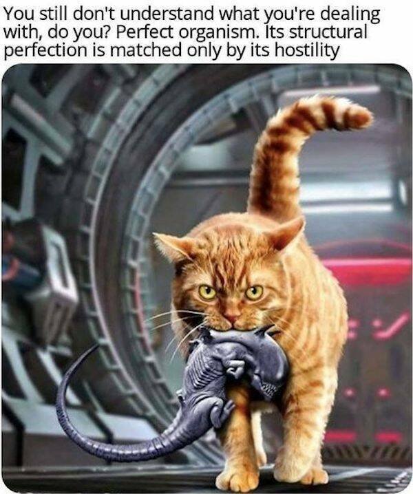Memes For Movie Fans (32 pics)