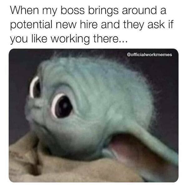 Memes For Movie Fans (32 pics)