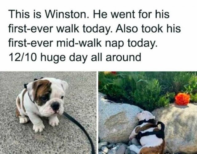 Life Is Beautiful (23 pics)