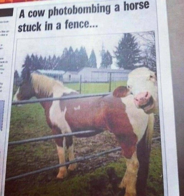 Odd And Funny Headlines (23 pics)