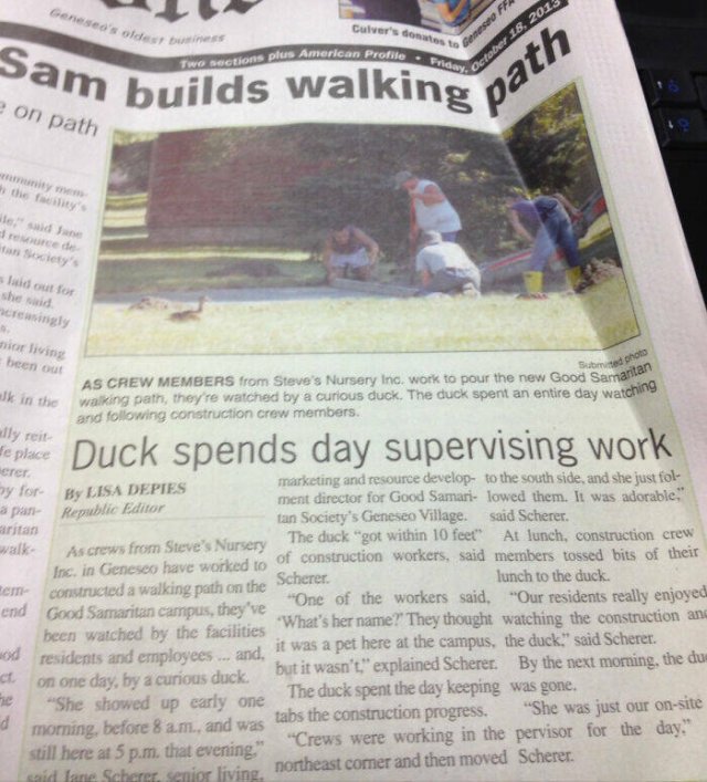 Odd And Funny Headlines (23 pics)