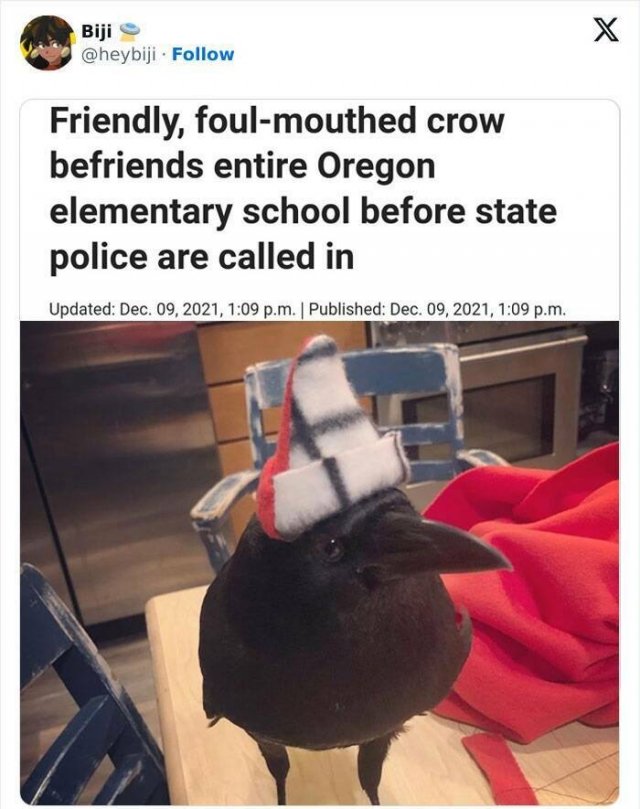 Odd And Funny Headlines (23 pics)