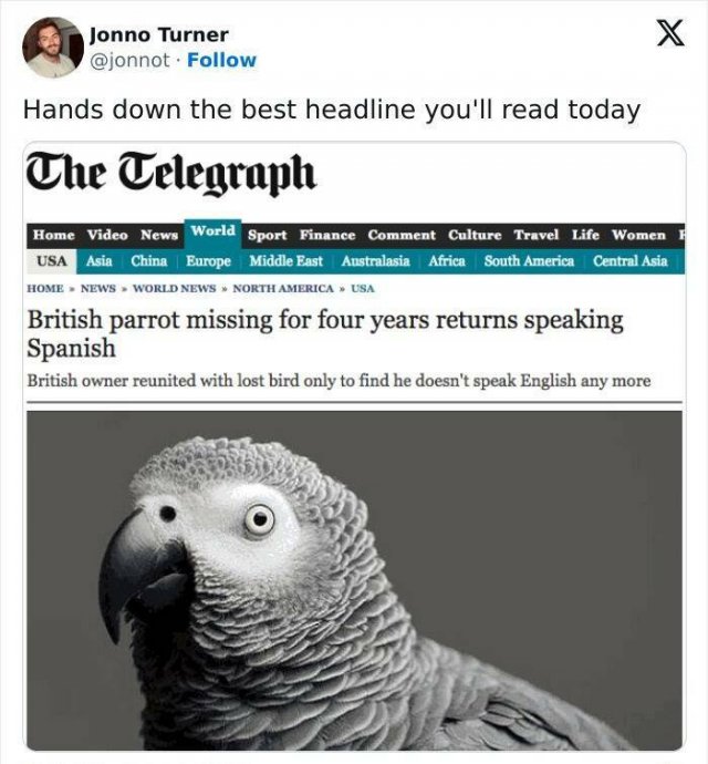 Odd And Funny Headlines (23 pics)