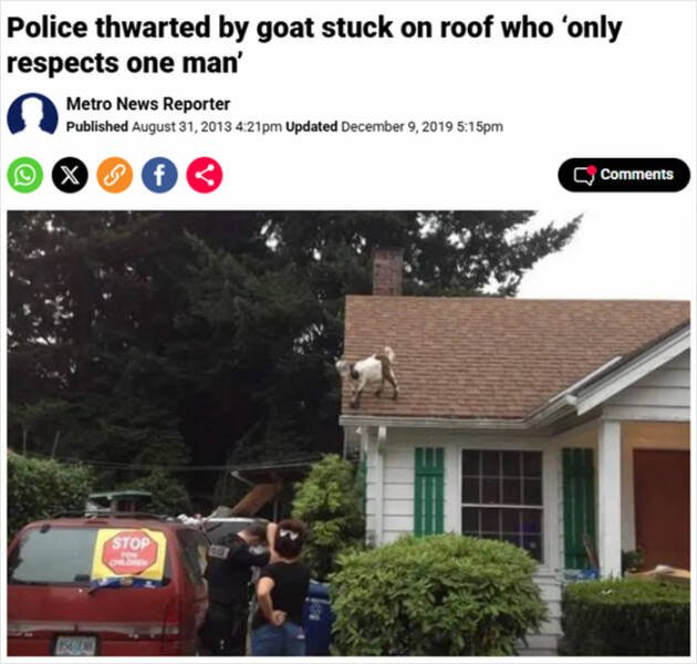 Odd And Funny Headlines (23 pics)