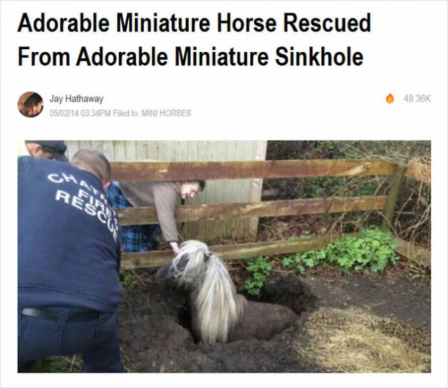 Odd And Funny Headlines (23 pics)