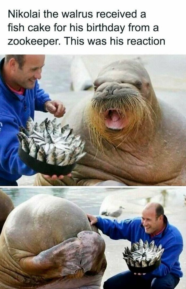 Life Is Beautiful (23 pics)
