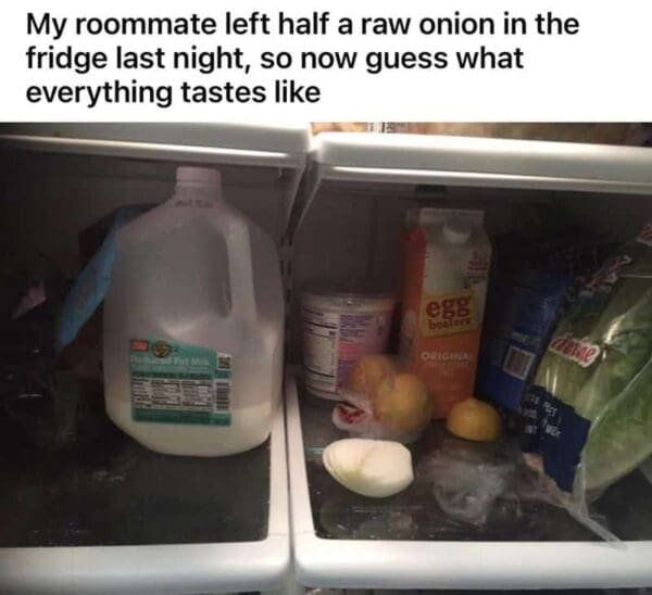 Jokes About Roommates (30 pics)
