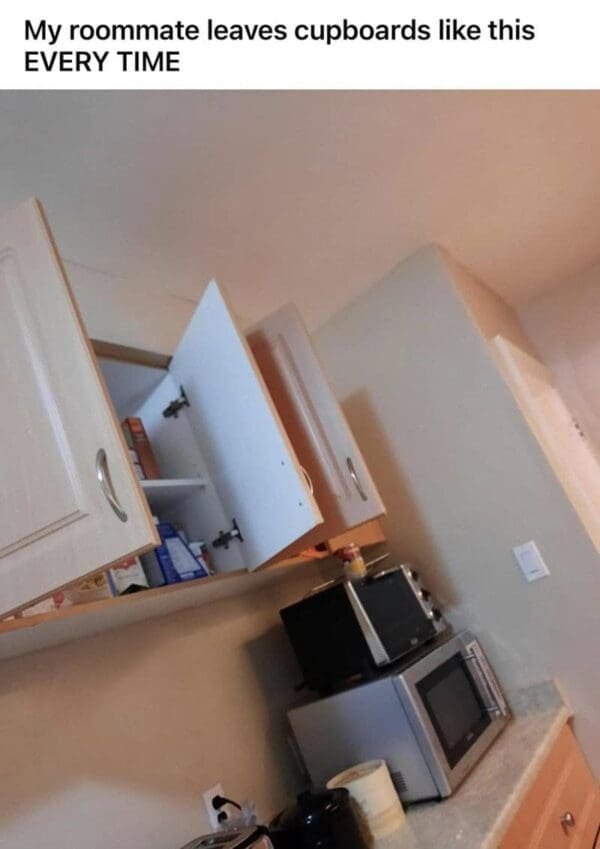 Jokes About Roommates (30 pics)