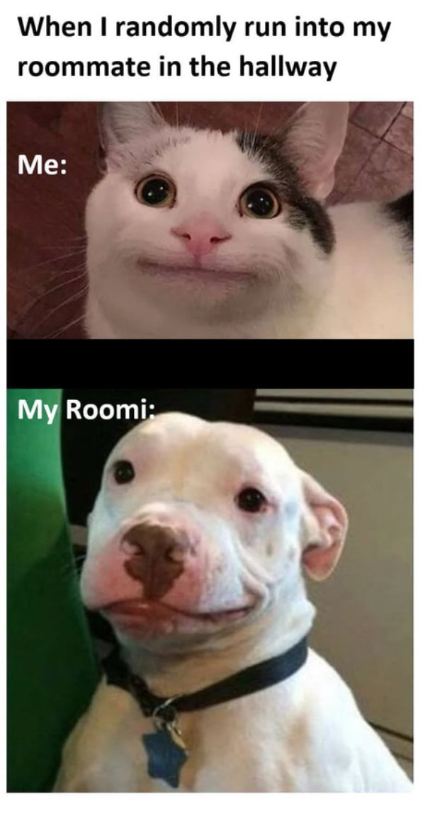 Jokes About Roommates (30 pics)