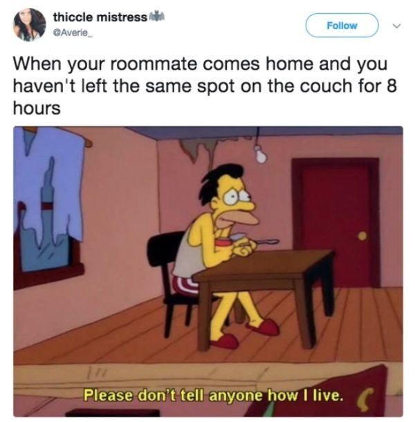 Jokes About Roommates (30 pics)
