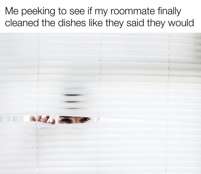 Jokes About Roommates (30 pics)