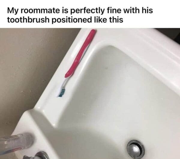 Jokes About Roommates (30 pics)