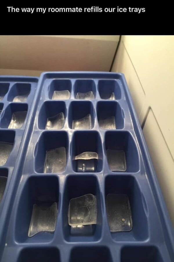 Jokes About Roommates (30 pics)