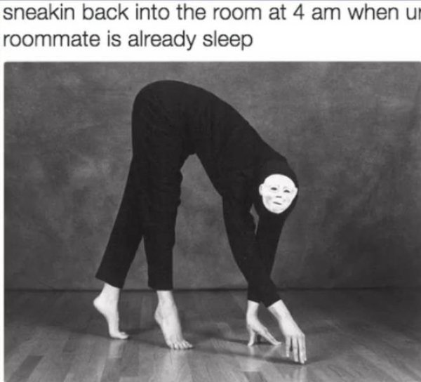 Jokes About Roommates (30 pics)